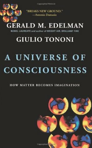 Consciousness: How Matter Becomes Imagination by Giulio Tononi, Gerald M. Edelman