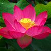 3_seagrass's profile picture