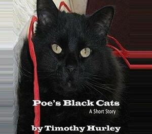 Poe's Black Cats by Timothy Hurley