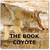 thebookcoyote's profile picture