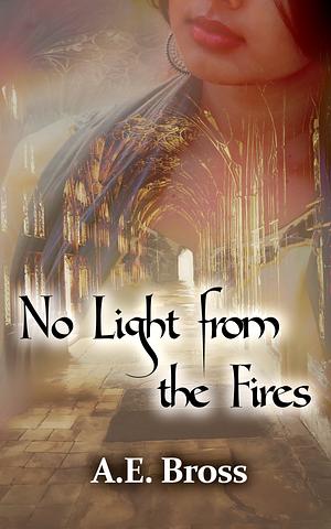 No Light from the Fires by A.E. Bross