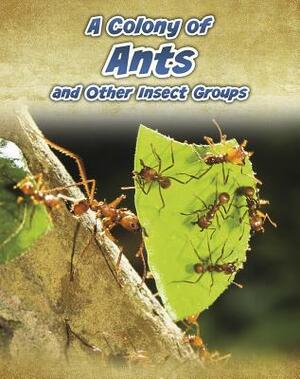 A Colony of Ants: And Other Insect Groups by Anna Claybourne