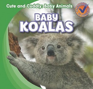 Baby Koalas by Katie Kawa