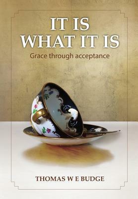 It Is What It Is: Grace through acceptance by 