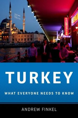 Turkey: What Everyone Needs to Know® by Andrew Finkel