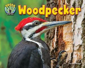 Woodpecker by Dee Phillips