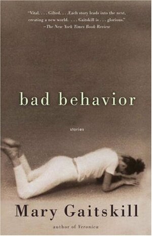 Bad Behavior by Mary Gaitskill