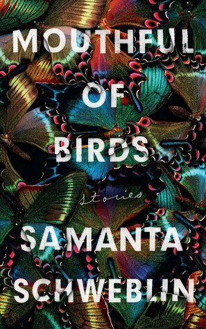 Mouthful of Birds by Samanta Schweblin