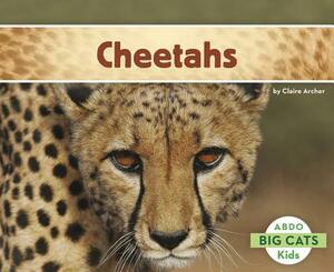 Cheetahs by Claire Archer