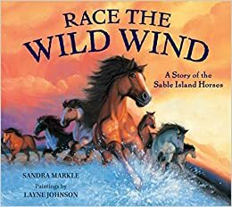 Race the Wild Wind: A Story of the Sable Island Horses by Sandra Markle