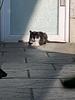 csox's profile picture