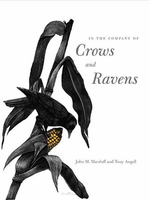 In the Company of Crows and Ravens by Tony Angell, John M. Marzluff, Paul R. Ehrlich
