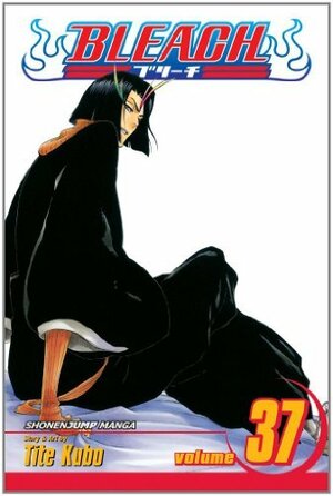 Bleach, Vol. 37: Beauty Is So Solitary by Tite Kubo