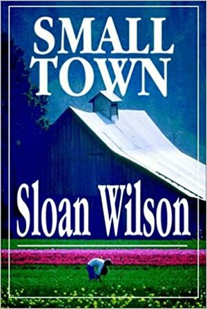 Small Town by Sloan Wilson