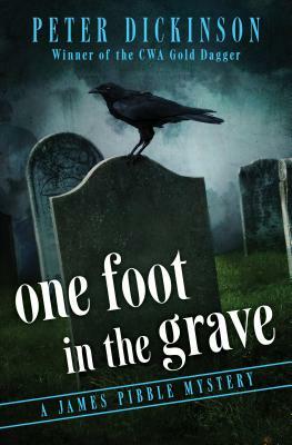 One Foot in the Grave by Peter Dickinson