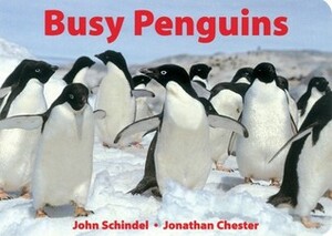 Busy Penguins by Jonathan Chester, John Schindel