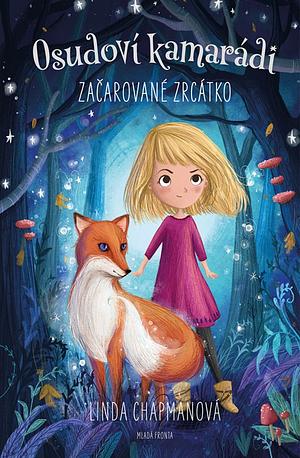 Začarované zrcátko by Linda Chapman