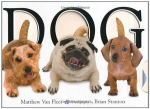 Dog DOG by Matthew Van Fleet, Brian Stanton