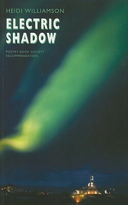 Electric Shadow by Heidi Williamson