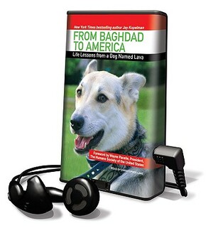 From Baghdad to America: Life Lessons from a Dog Named Lava  by Jay Kopelman