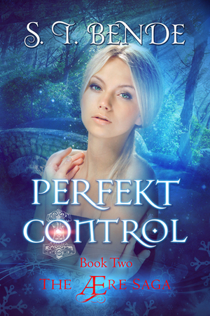 Perfekt Control by S.T. Bende