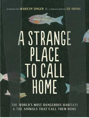 A Strange Place to Call Home: The World's Most Dangerous Habitats & the Animals That Call Them Home by Marilyn Singer