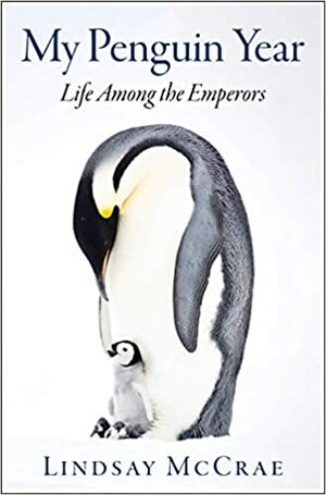 Rok wśród pingwinów by Lindsay McCrae
