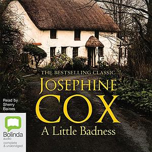 A Little Badness by Josephine Cox