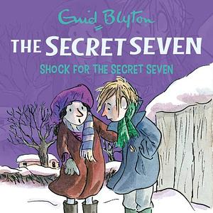 Shock for the Secret Seven by Enid Blyton