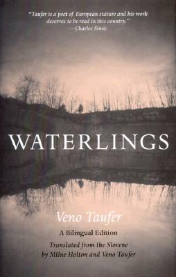 Waterlings by Veno Taufer