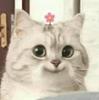 abigel's profile picture
