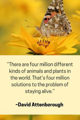 ''There are four million different kinds of animals and plants in the world. That's four millions solutions to the problem of staying alive.'' - David by Enviro Noted