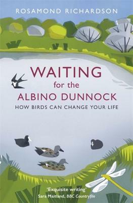 Waiting for the Albino Dunnock: How Birds Can Change Your Life by Rosamond Richardson