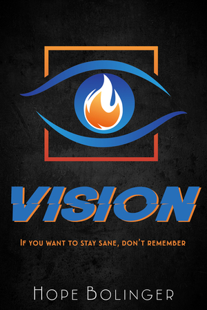 Vision: If you want to stay sane, don't remember by Hope Bolinger