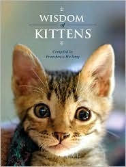 Wisdom of Kittens by Franchesca Ho Sang