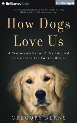 How Dogs Love Us: A Neuroscientist and His Adopted Dog Decode the Canine Brain by Gregory Berns