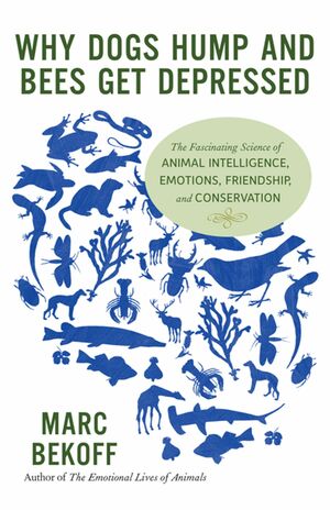 Why Dogs Hump and Bees Get Depressed: The Fascinating Science of Animal Intelligence, Emotions, Friendship, and Conservation by Marc Bekoff