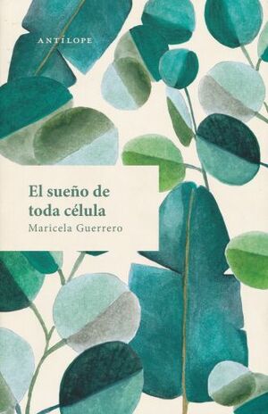 El sueño de toda celula by Maricela Guerrero