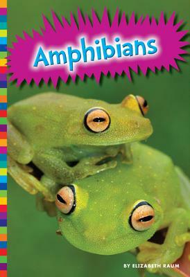 Amphibians by Michelle Levine