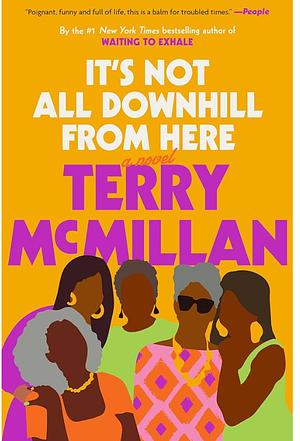 It's Not All Downhill From Here by Terry McMillan