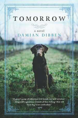 Tomorrow by Damian Dibben
