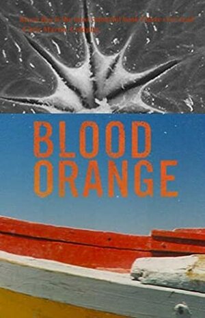 Blood Orange (Fiction Africa) by Troy Blacklaws