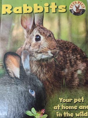 Rabbits by Sally Morgan
