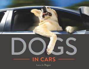 Dogs in Cars by Lara Jo Regan