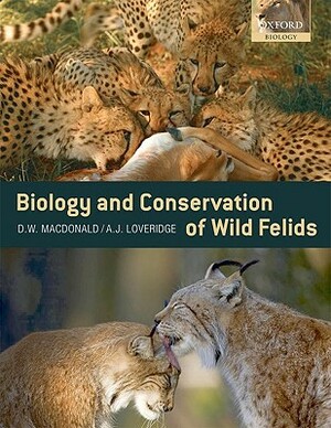 Biology and Conservation of Wild Felids by Andrew Loveridge, David MacDonald