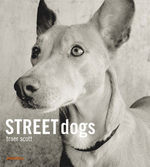 Street Dogs by Traer Scott