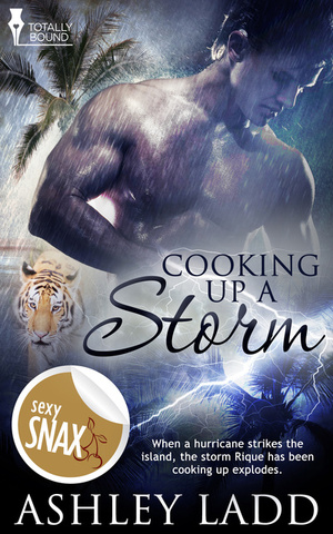 Cooking Up a Storm by Ashley Ladd