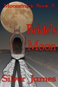 Bride's Moon by Silver James