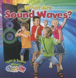 What Are Sound Waves? by Robin Johnson