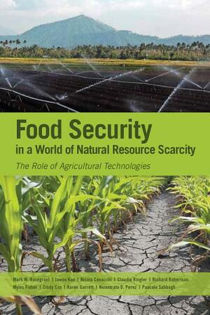 Food Security in a World of Natural Resource Scarcity: The Role of Agricultural Technologies by Mark W. Rosegrant